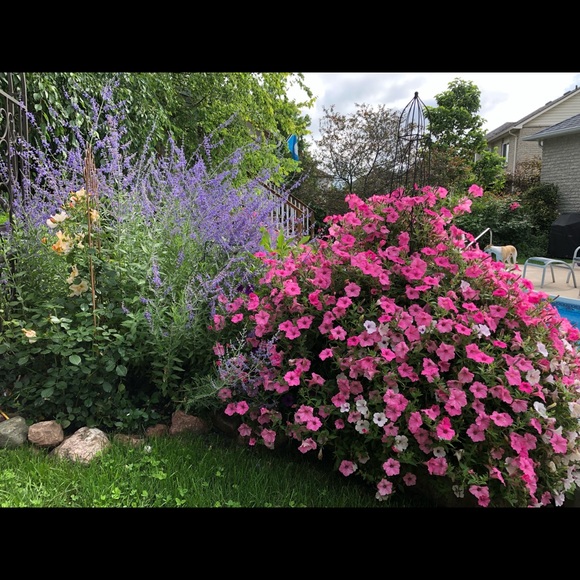 Meet the Posher - Picture 3 of 3